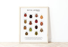 Load image into Gallery viewer, British Ladybirds Print