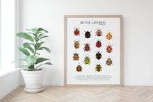 Load image into Gallery viewer, British Ladybirds Print