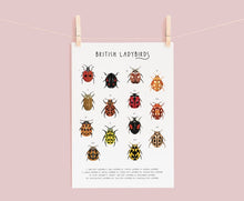 Load image into Gallery viewer, British Ladybirds Print
