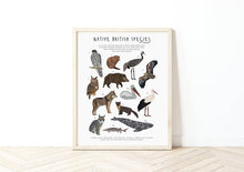 Load image into Gallery viewer, British Native Species Print