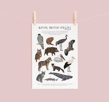 Load image into Gallery viewer, British Native Species Print