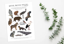 Load image into Gallery viewer, British Native Species Print