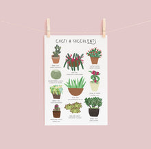 Load image into Gallery viewer, Cacti and Succulents Print