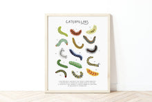 Load image into Gallery viewer, Caterpillar Print
