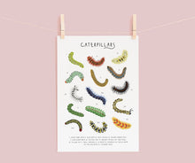 Load image into Gallery viewer, Caterpillar Print