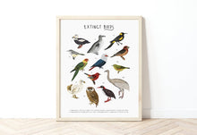 Load image into Gallery viewer, Extinct Birds Print