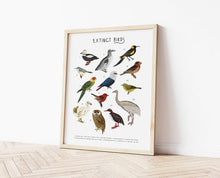Load image into Gallery viewer, Extinct Birds Print