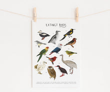 Load image into Gallery viewer, Extinct Birds Print
