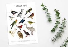 Load image into Gallery viewer, Extinct Birds Print