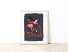 Load image into Gallery viewer, American Flamingo Print