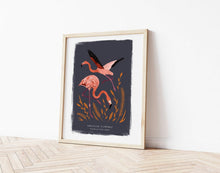 Load image into Gallery viewer, American Flamingo Print