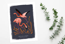 Load image into Gallery viewer, American Flamingo Print