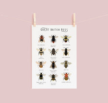 Load image into Gallery viewer, Great British Bees Print