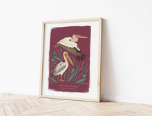 Load image into Gallery viewer, Great White Pelican Print