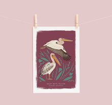 Load image into Gallery viewer, Great White Pelican Print