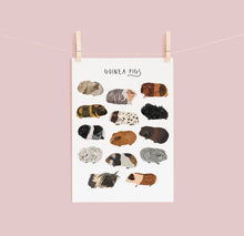 Load image into Gallery viewer, Guinea Pig Print