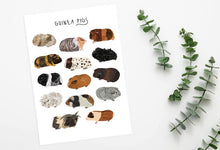Load image into Gallery viewer, Guinea Pig Print