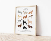 Load image into Gallery viewer, Gun Dogs Print