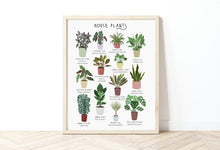 Load image into Gallery viewer, House Plants Print