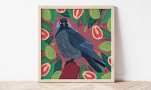 Load image into Gallery viewer, Jackdaw and Guavas Print
