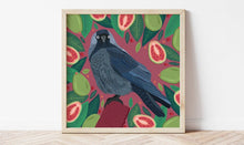 Load image into Gallery viewer, Jackdaw and Guavas Print