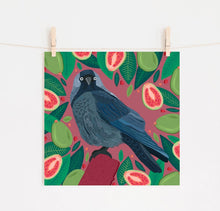 Load image into Gallery viewer, Jackdaw and Guavas Print