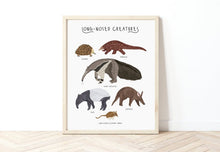 Load image into Gallery viewer, Long-nosed Creatures Print