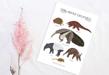 Load image into Gallery viewer, Long-nosed Creatures Print