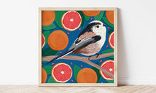 Load image into Gallery viewer, Long-tailed Tit and Grapefruit Print