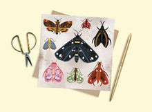 Load image into Gallery viewer, Moths Card
