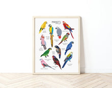 Load image into Gallery viewer, Parrots Print
