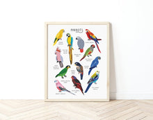 Load image into Gallery viewer, Parrots Print