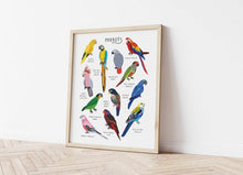 Load image into Gallery viewer, Parrots Print