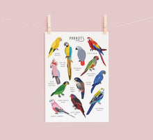 Load image into Gallery viewer, Parrots Print