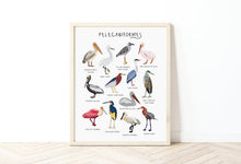 Load image into Gallery viewer, Pelican Print