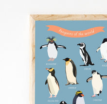 Load image into Gallery viewer, Penguins of the World Print