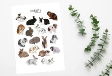Load image into Gallery viewer, Rabbits Print