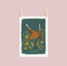 Load image into Gallery viewer, Sandhill Crane Print