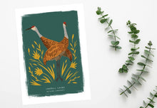 Load image into Gallery viewer, Sandhill Crane Print