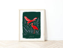 Load image into Gallery viewer, Scarlet Ibis Print