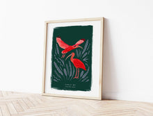 Load image into Gallery viewer, Scarlet Ibis Print