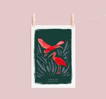 Load image into Gallery viewer, Scarlet Ibis Print