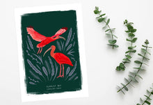 Load image into Gallery viewer, Scarlet Ibis Print