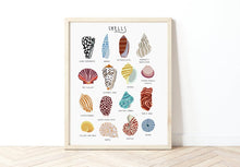 Load image into Gallery viewer, Sea Shells Print