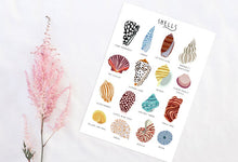 Load image into Gallery viewer, Sea Shells Print