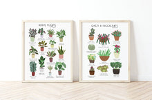 Load image into Gallery viewer, Set of 2 House Plant Prints