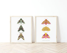 Load image into Gallery viewer, Set of 2 Trio of Moths Prints