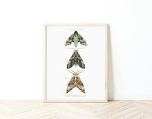 Load image into Gallery viewer, Set of 2 Trio of Moths Prints