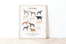 Load image into Gallery viewer, Sighthounds Print