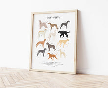 Load image into Gallery viewer, Sighthounds Print